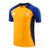 Officiële Voetbalshirt Juventus Pre-Match 2024-25 Oranje - Heren